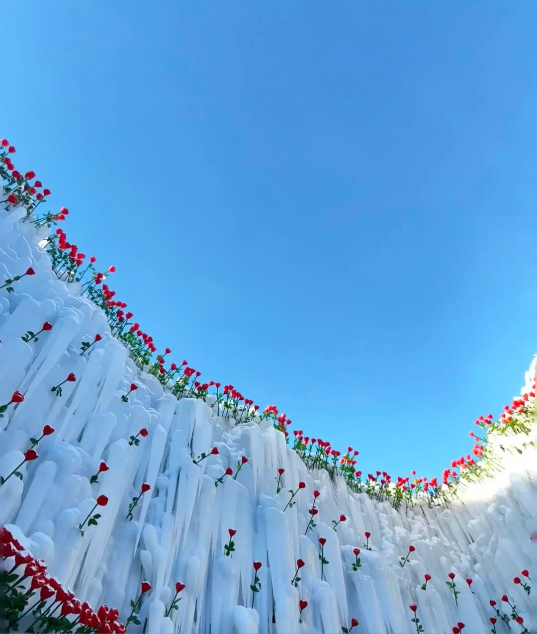 哇～长白山🏔️