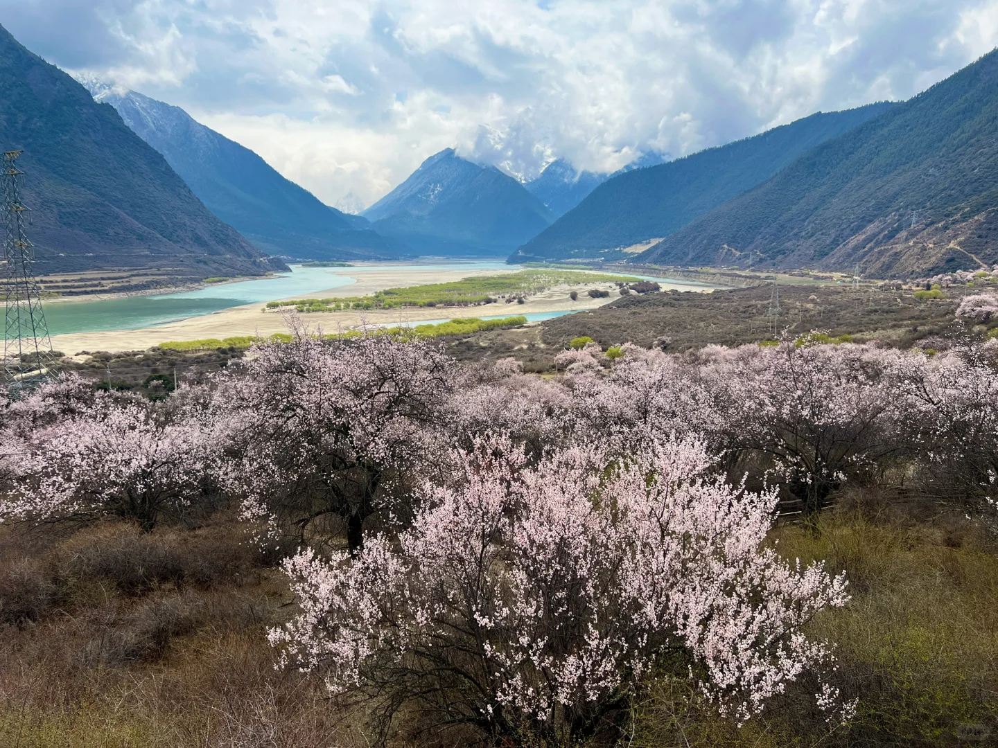 林芝｜雅鲁藏布大峡谷，已投诉