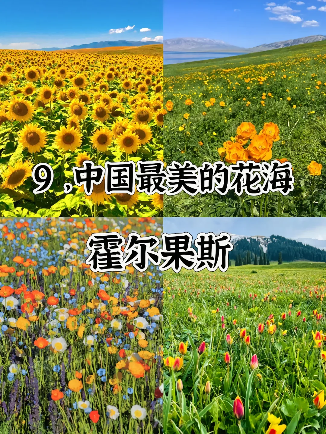 中国最美的20个地方 去过一半 此生无憾