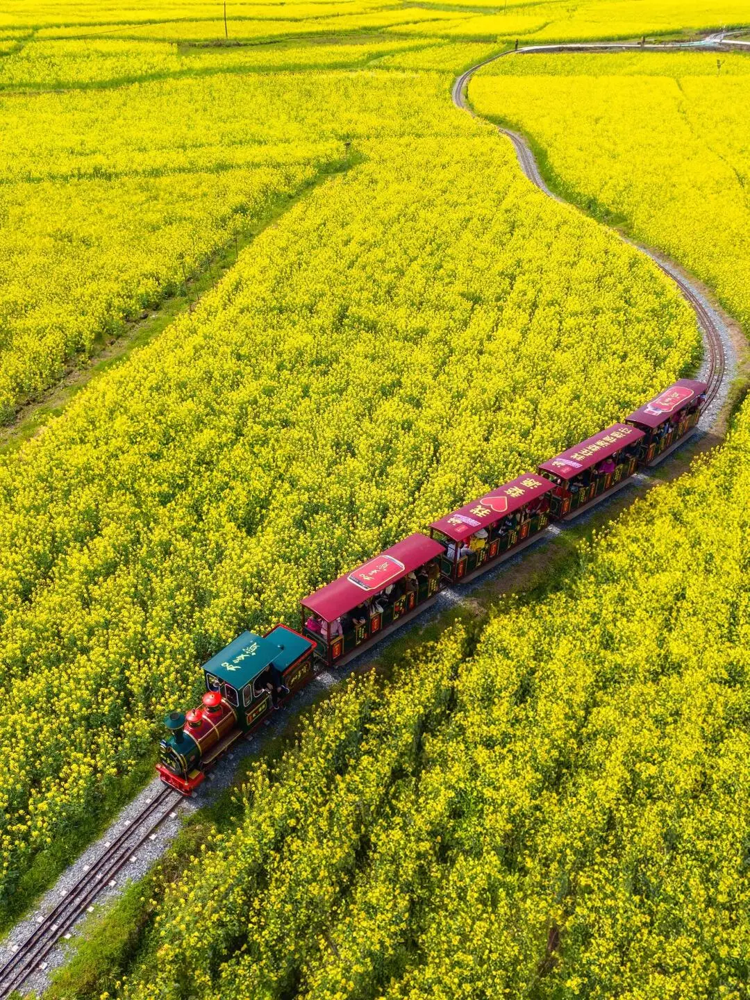 后悔没早点来黄山，小红书跟风最成功的一次