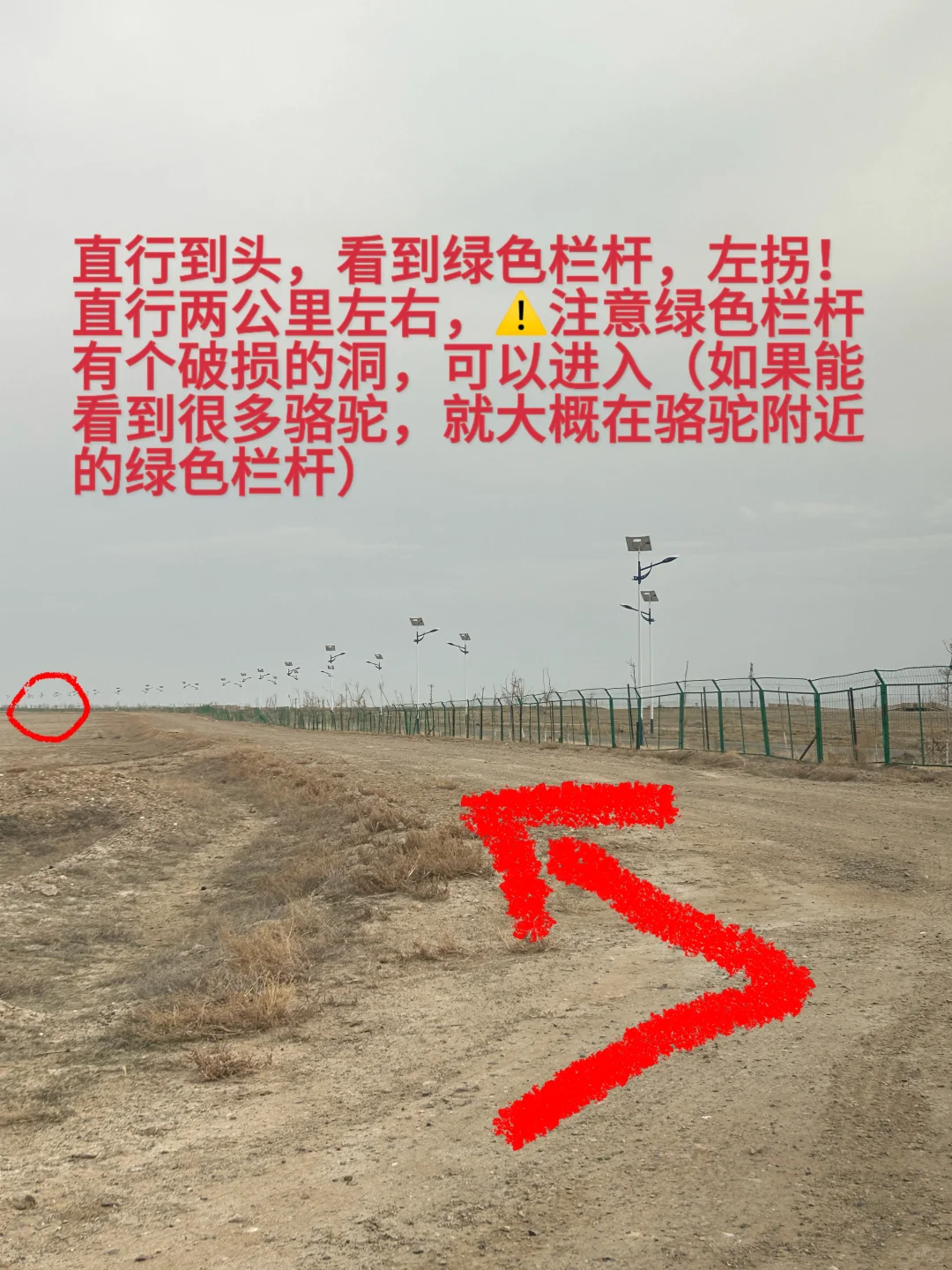 在乌鲁木齐就不能看海了？