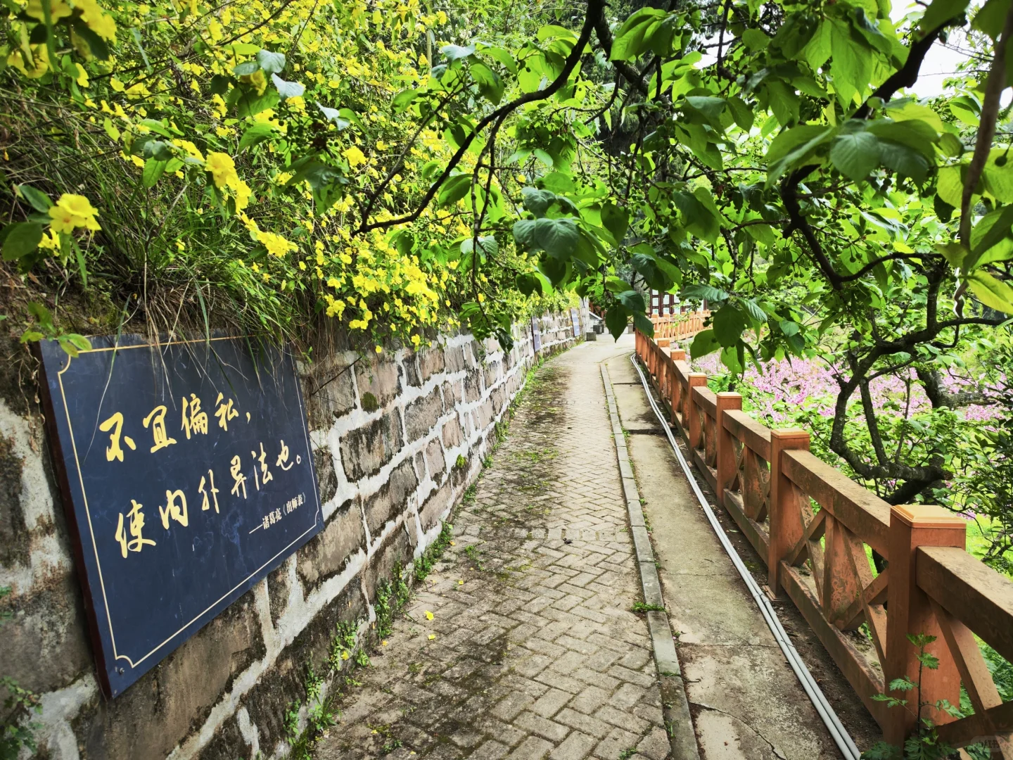 人多的冷门景区三元景区游