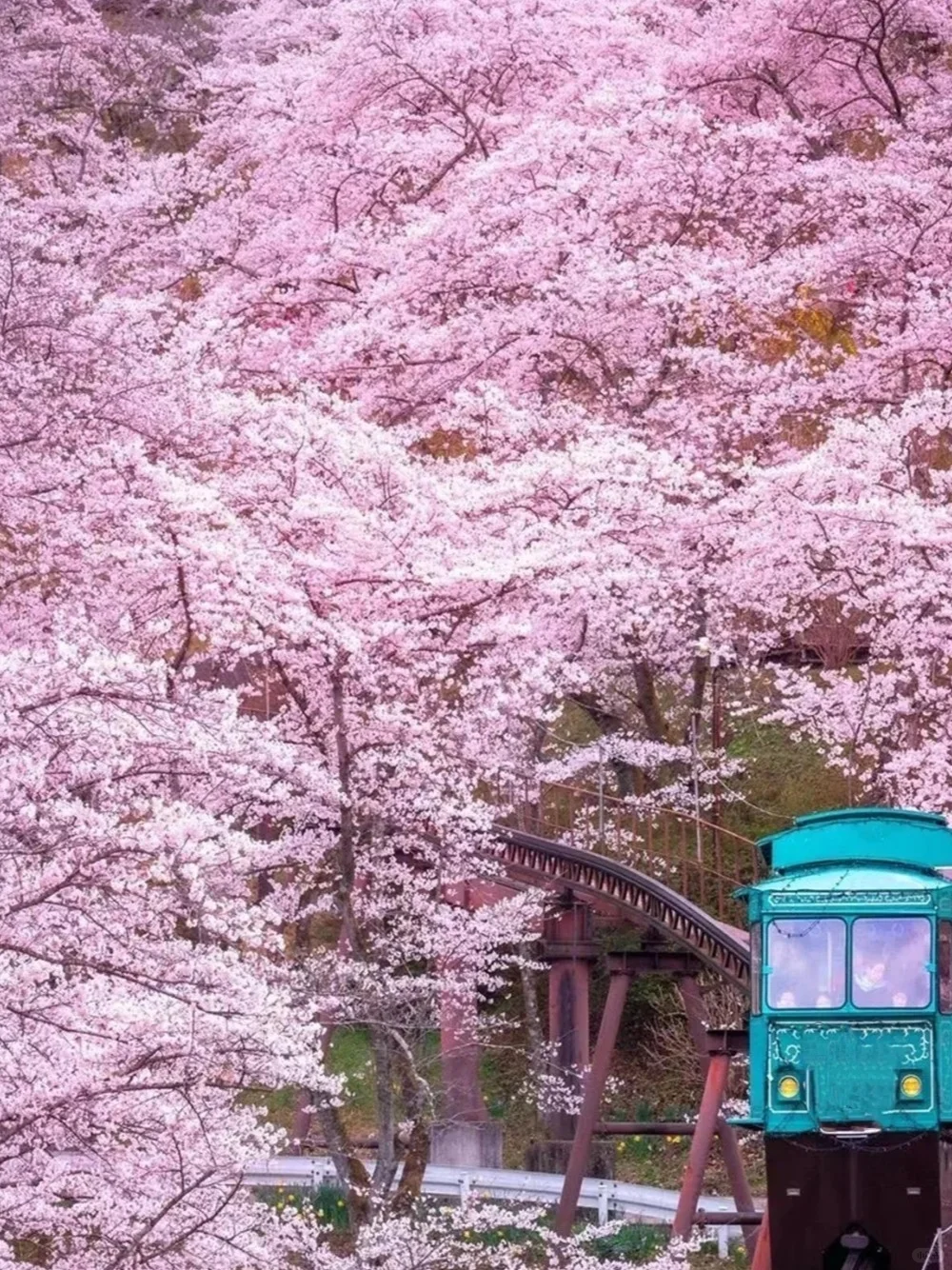 3-5月安顺旅游攻略🌸小众宝藏地大揭秘✨