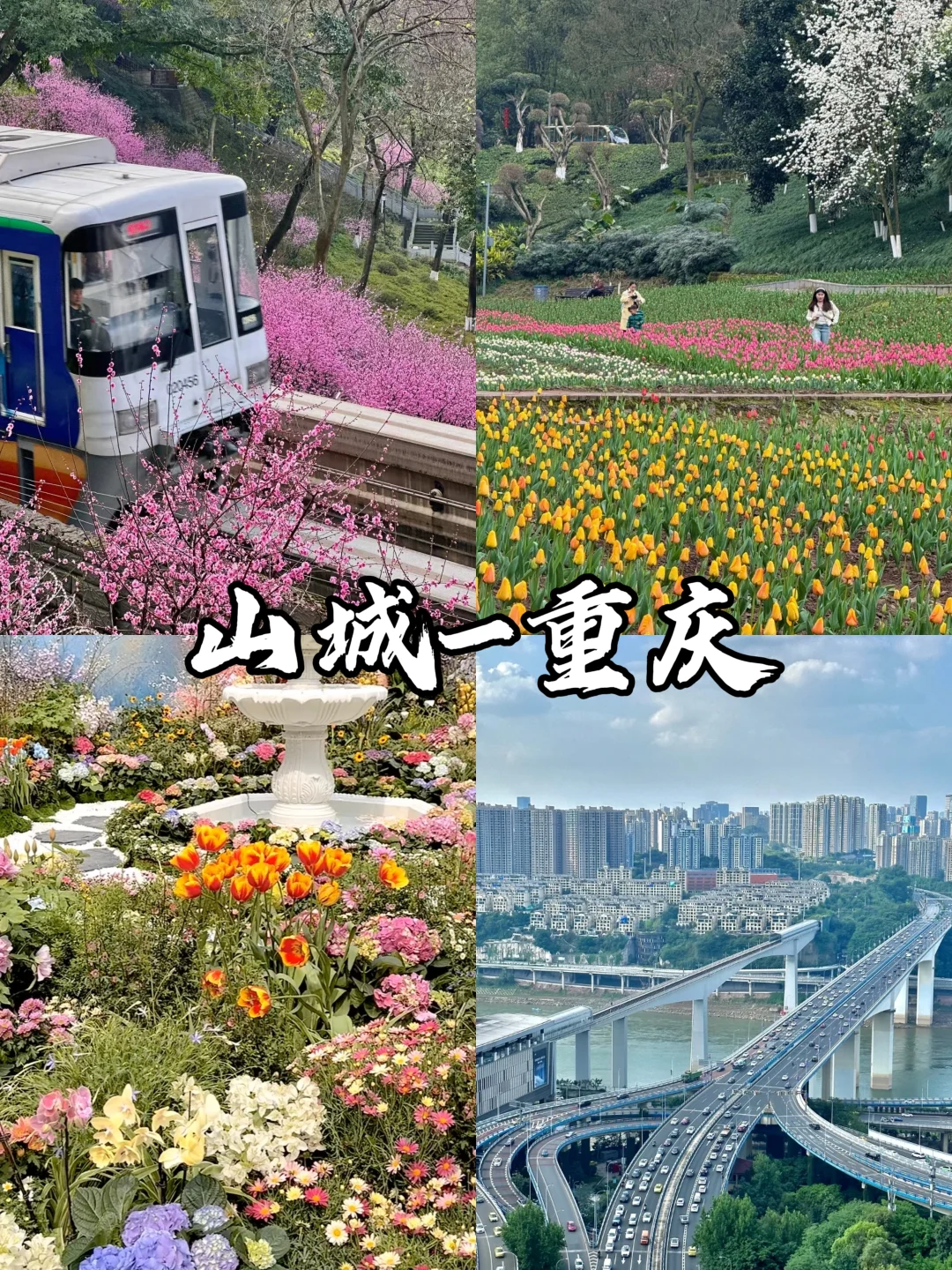 适合春天旅游的9个城市‼️