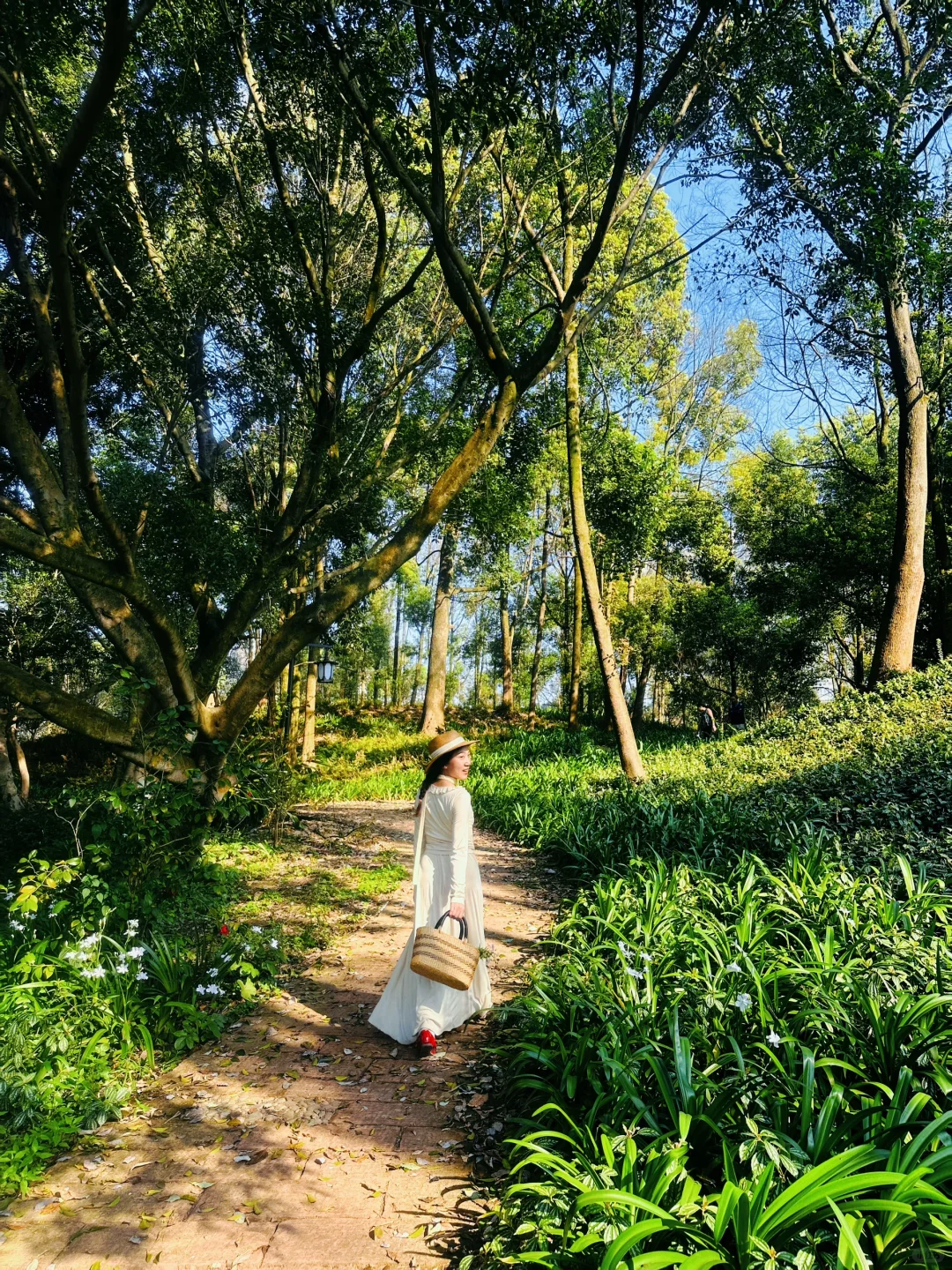 乐山」老城区被低估的公园，美到next level了