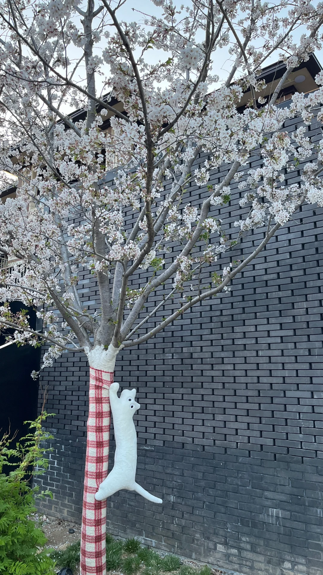 春风拂面时，又可以爬山了