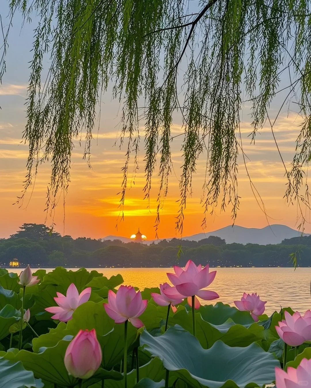 标题：🌸邂逅！西湖边的诗意浪漫