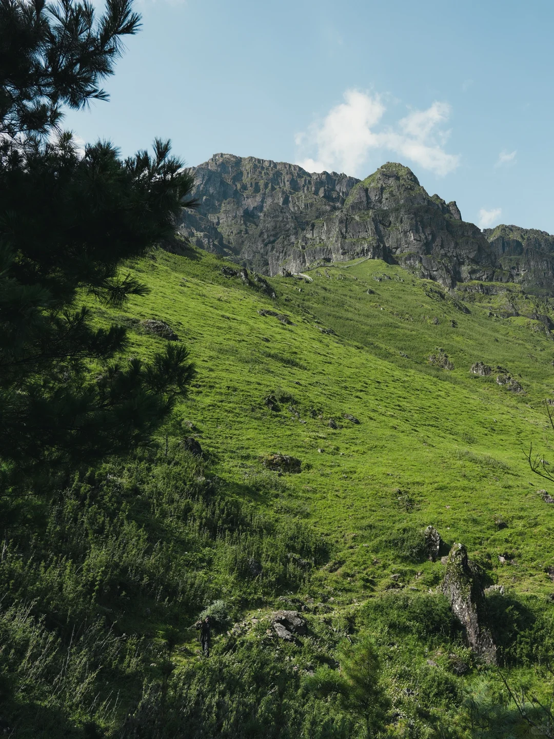 我宣布！这是昆明周边最像新西兰⛰️的地方