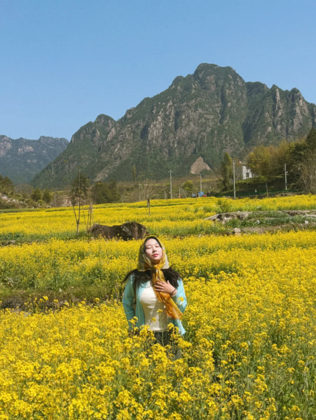 婺源宏村去腻了❗️绝美油菜花梯田在这里