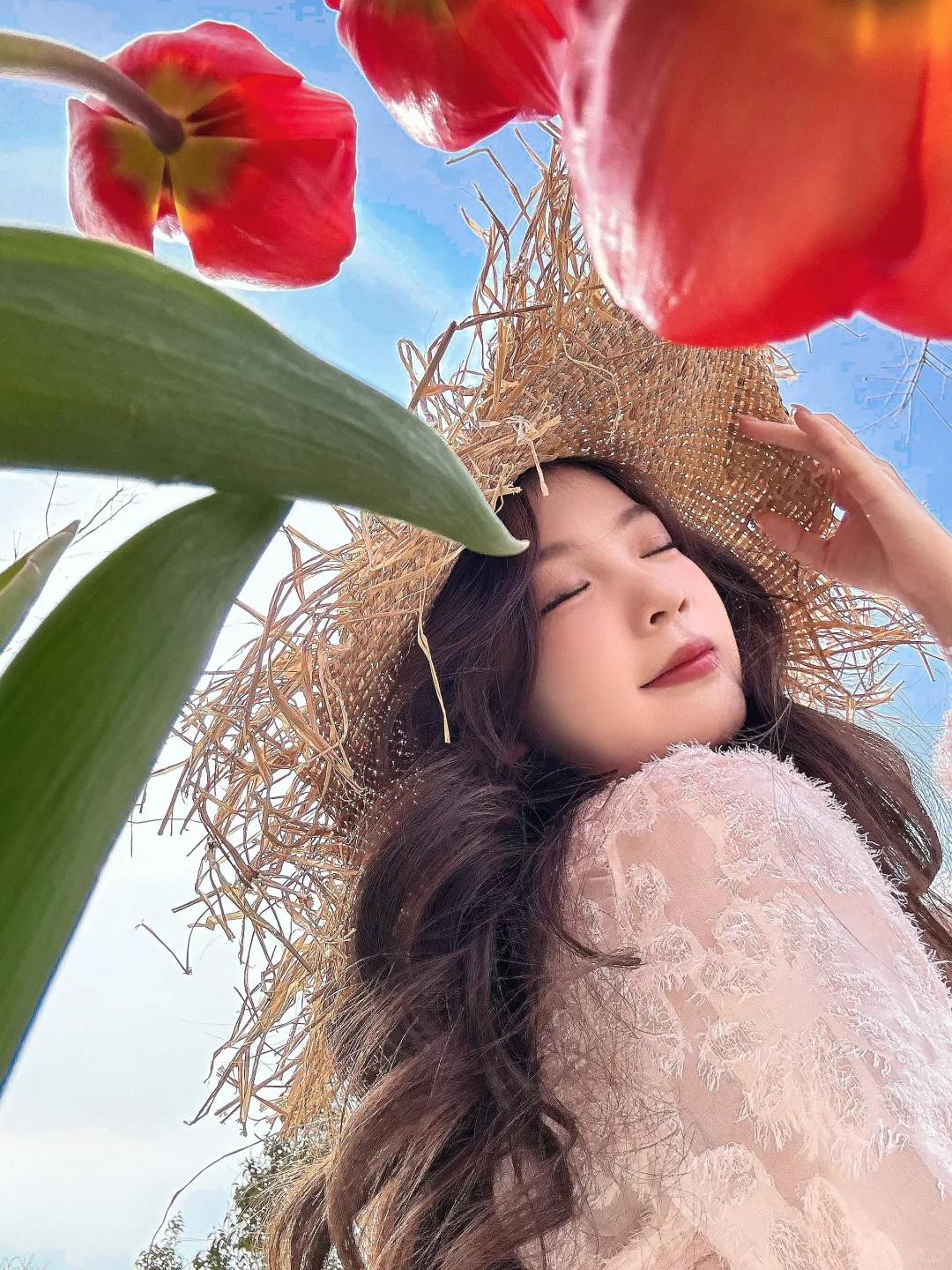 真不是荷兰！是河南！💐郁金香花海美到窒息🥹