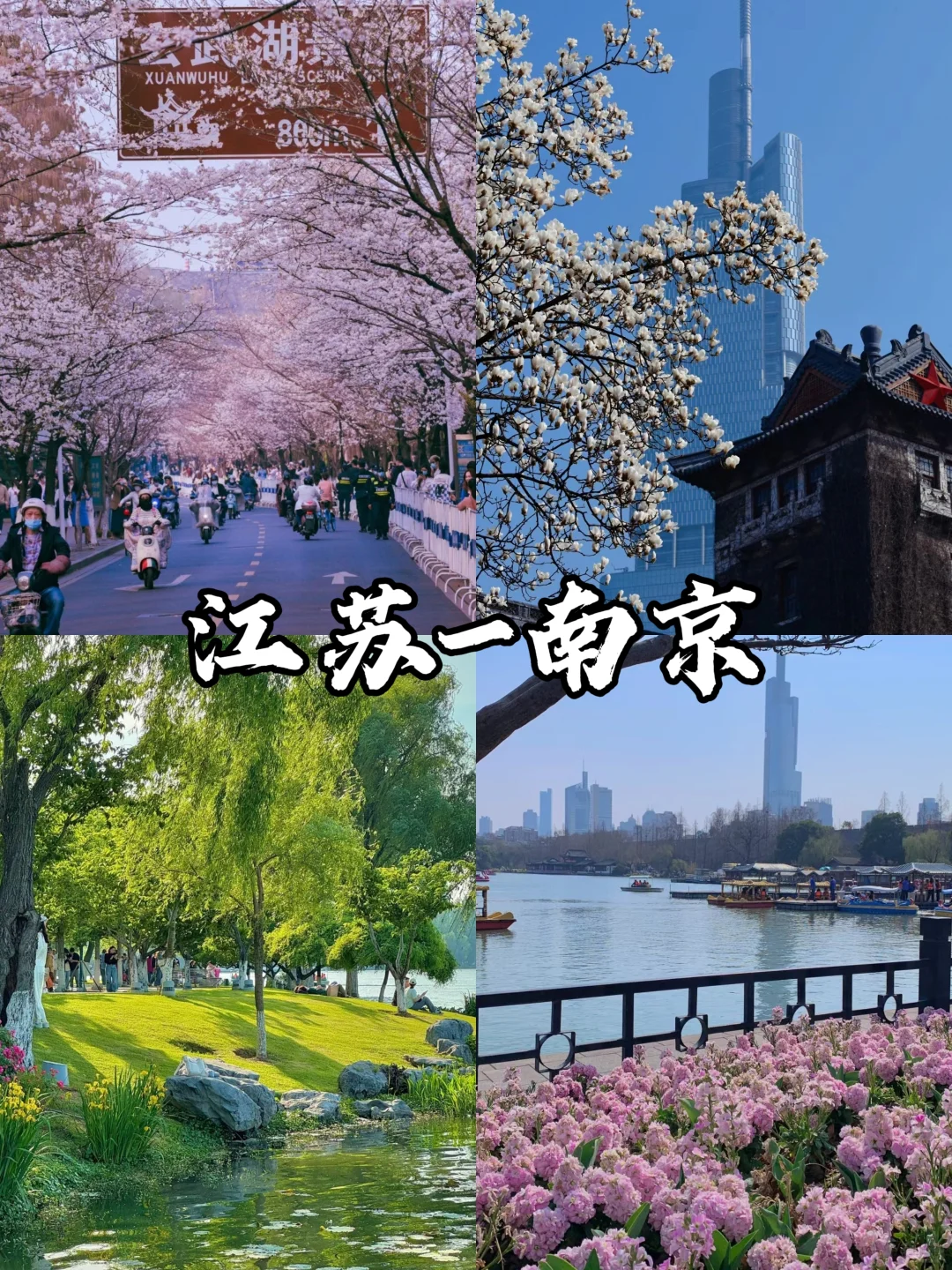 适合春天旅游的9个城市‼️