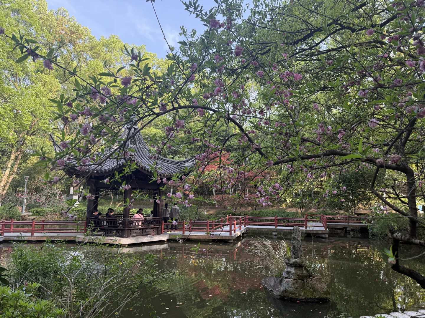 一步一景，人在画中游～