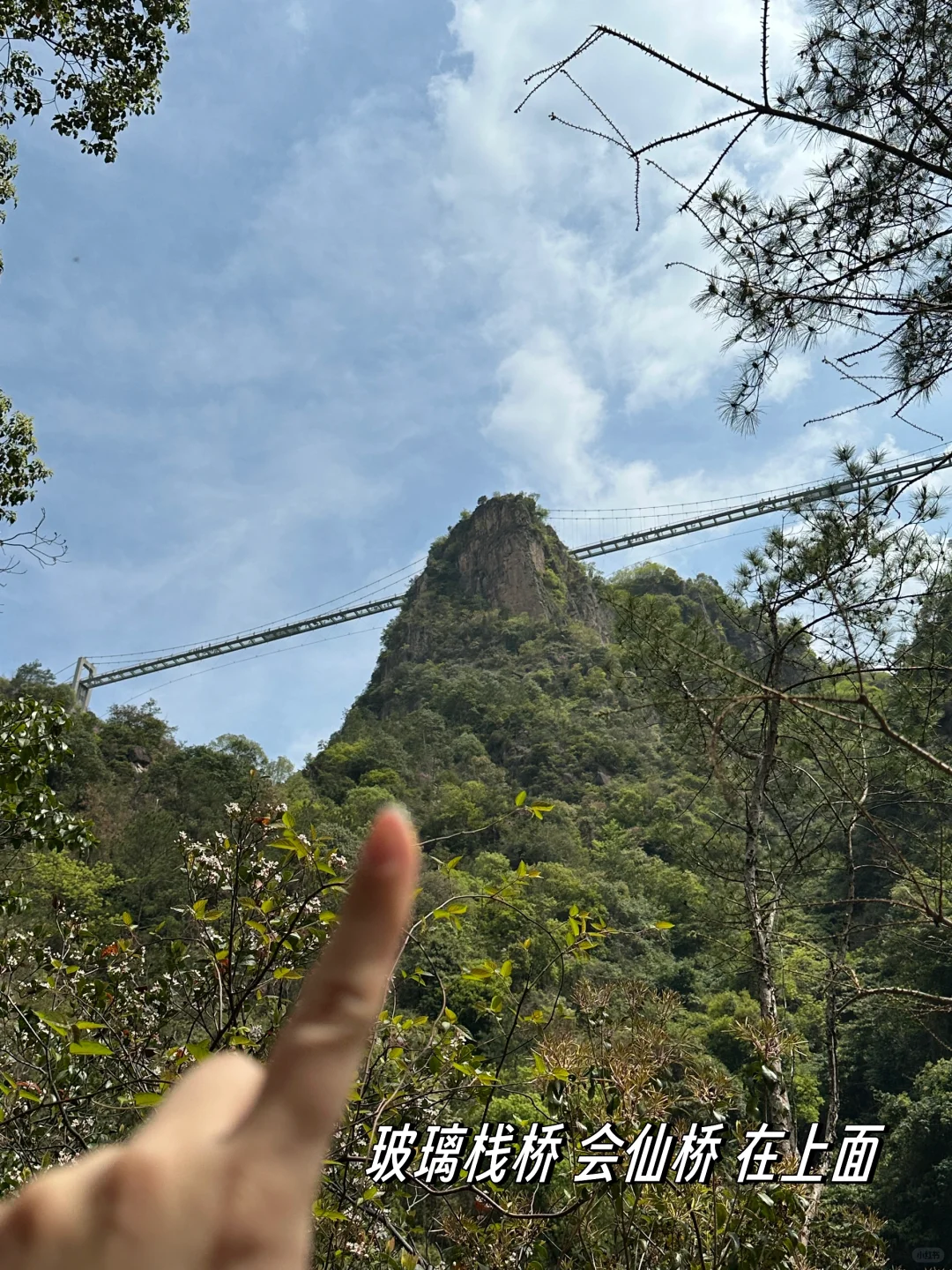 周末离沪5️⃣｜两小时🚄台州天台山5A景区