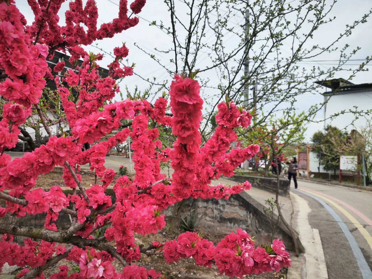 人多的冷门景区三元景区游