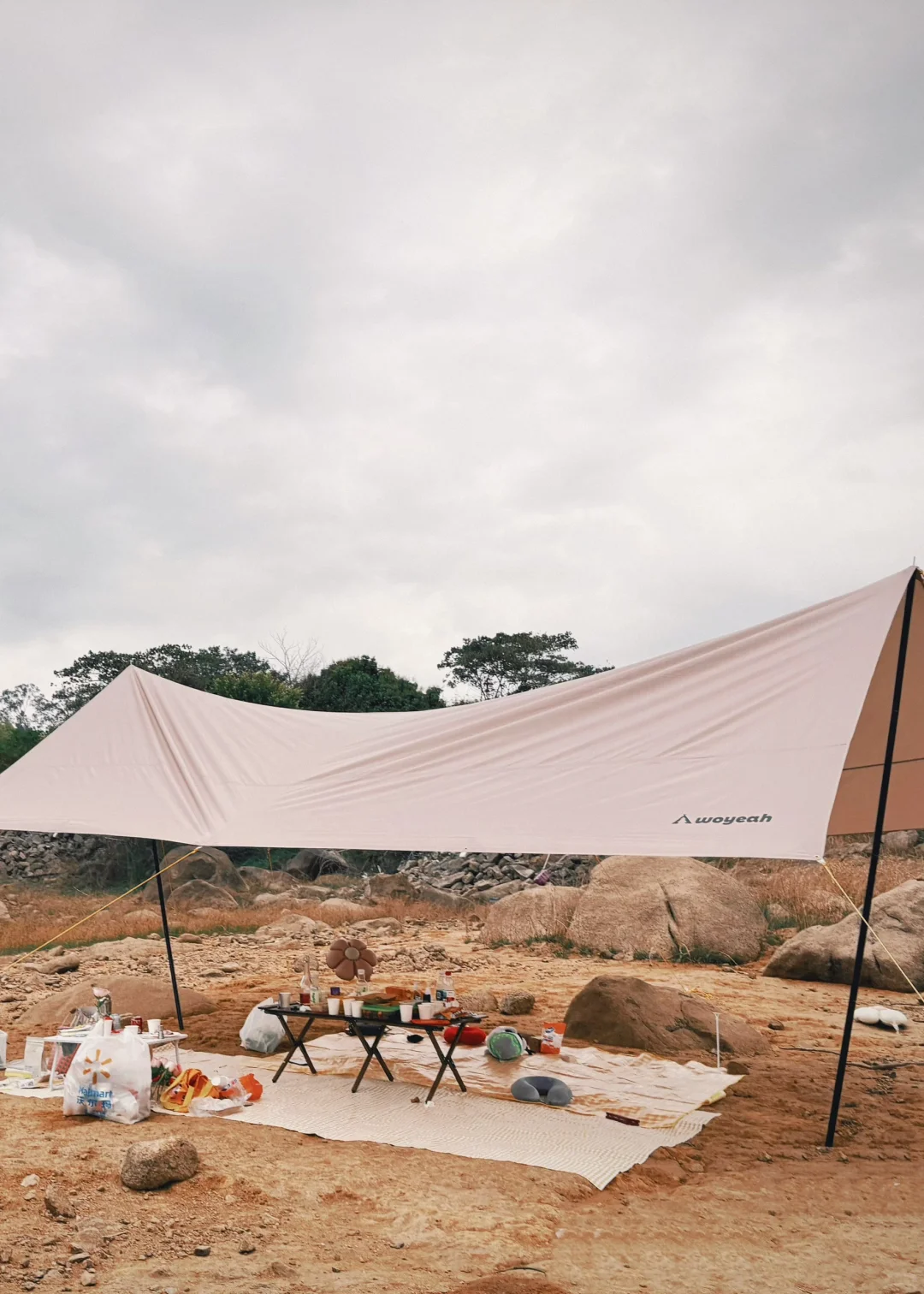 风是自由的！此刻我也是！！