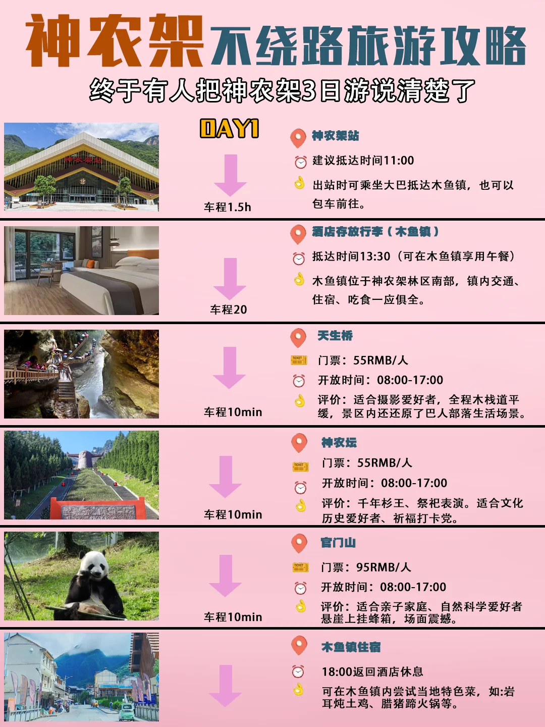 神农架3天保姆攻略🌲金丝猴云海晨雾全包