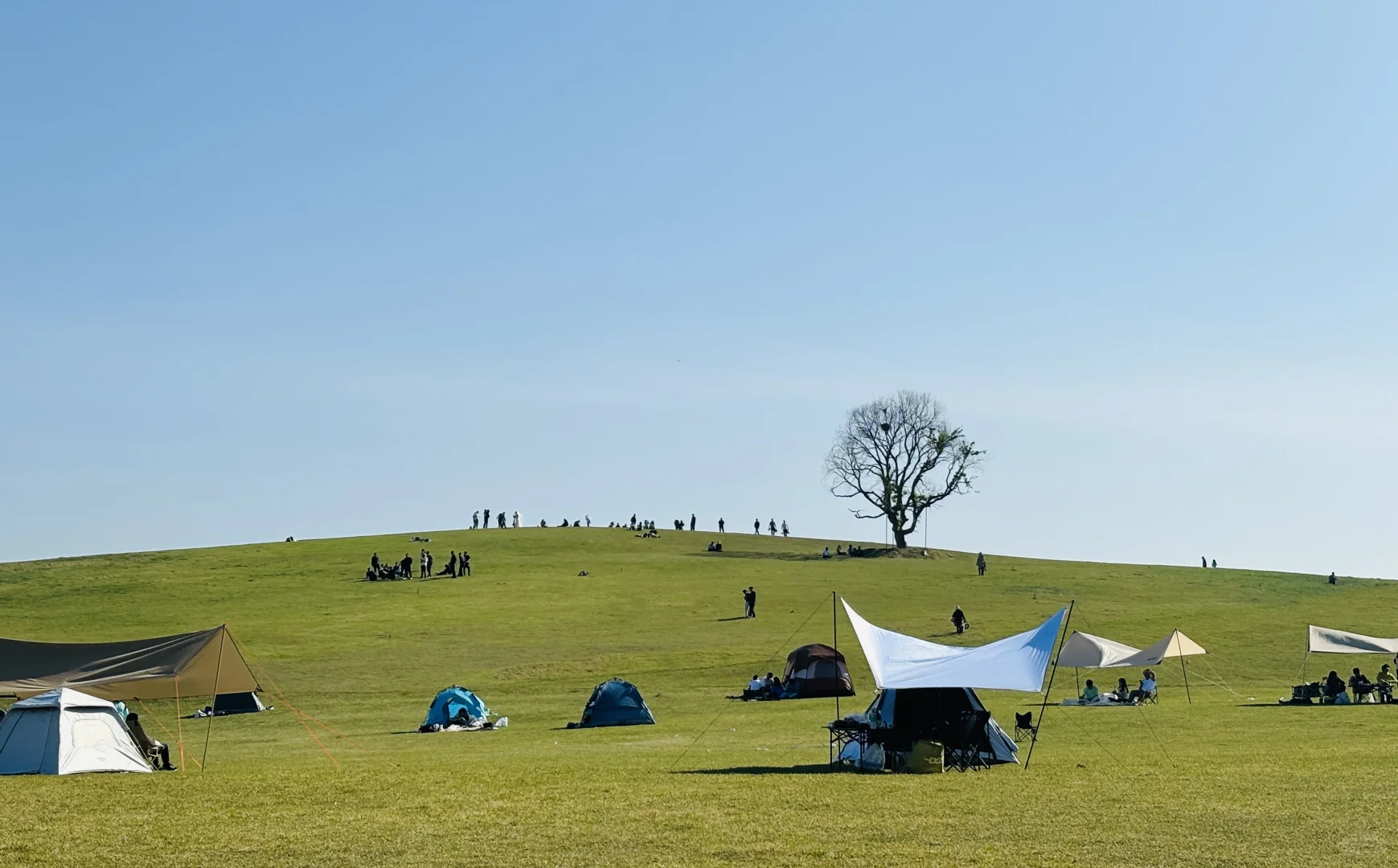 日照土著💥无广旅游攻略分享