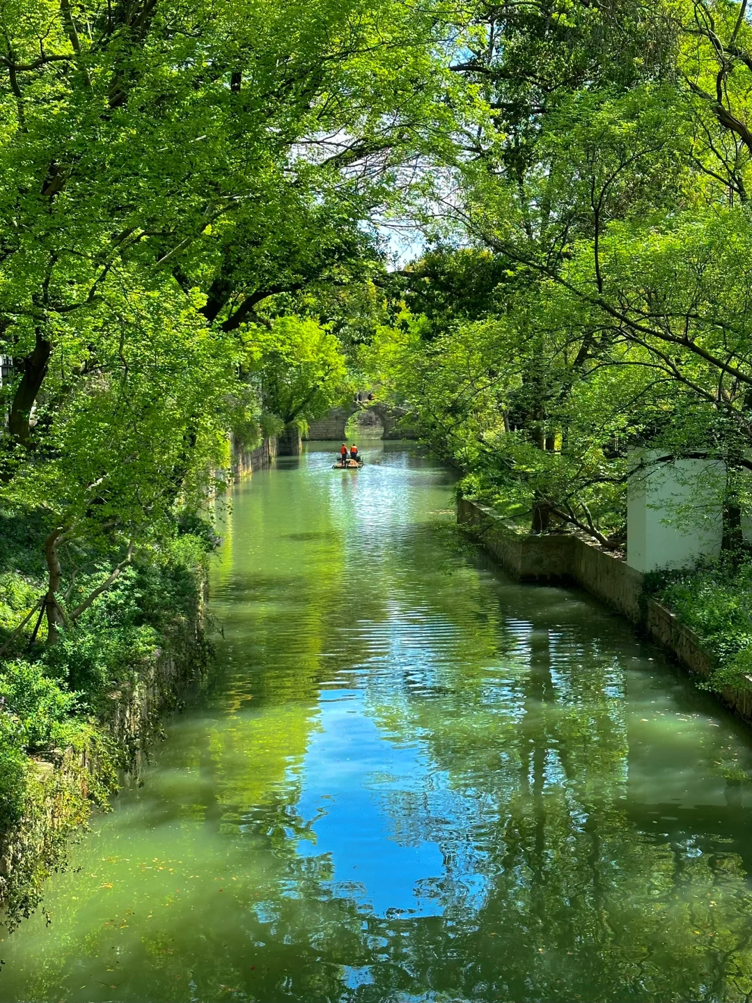 到虎丘才知道苏州的春天多治愈！