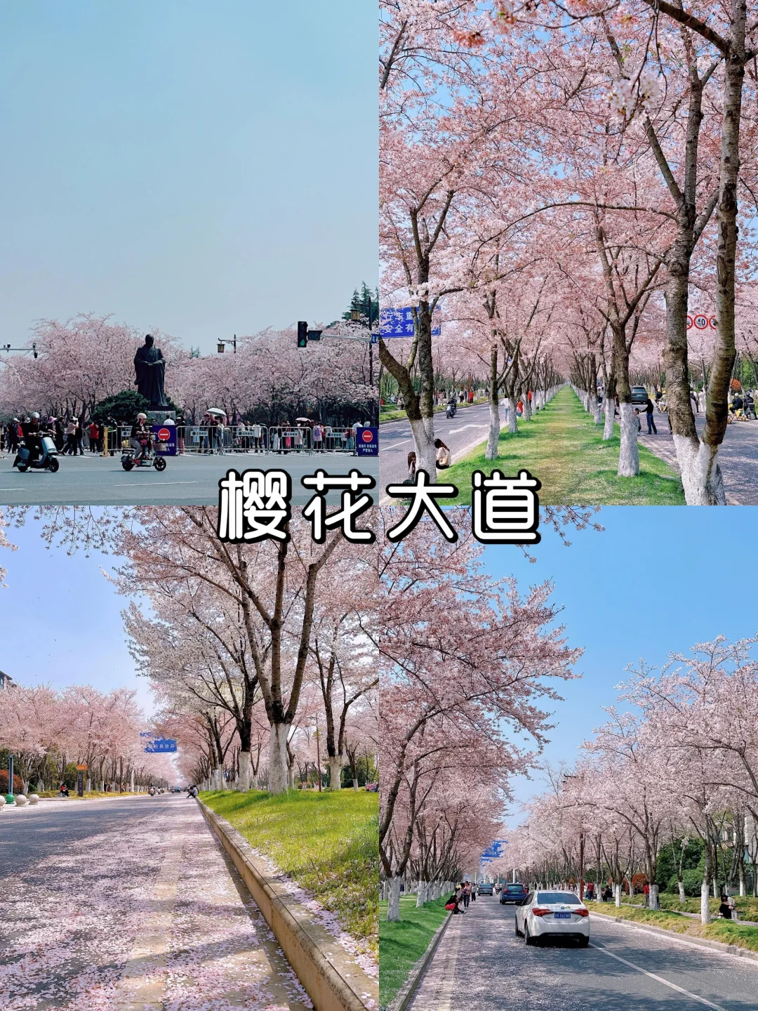 烟花三月下扬州|9大打卡景点，超全攻略🌸