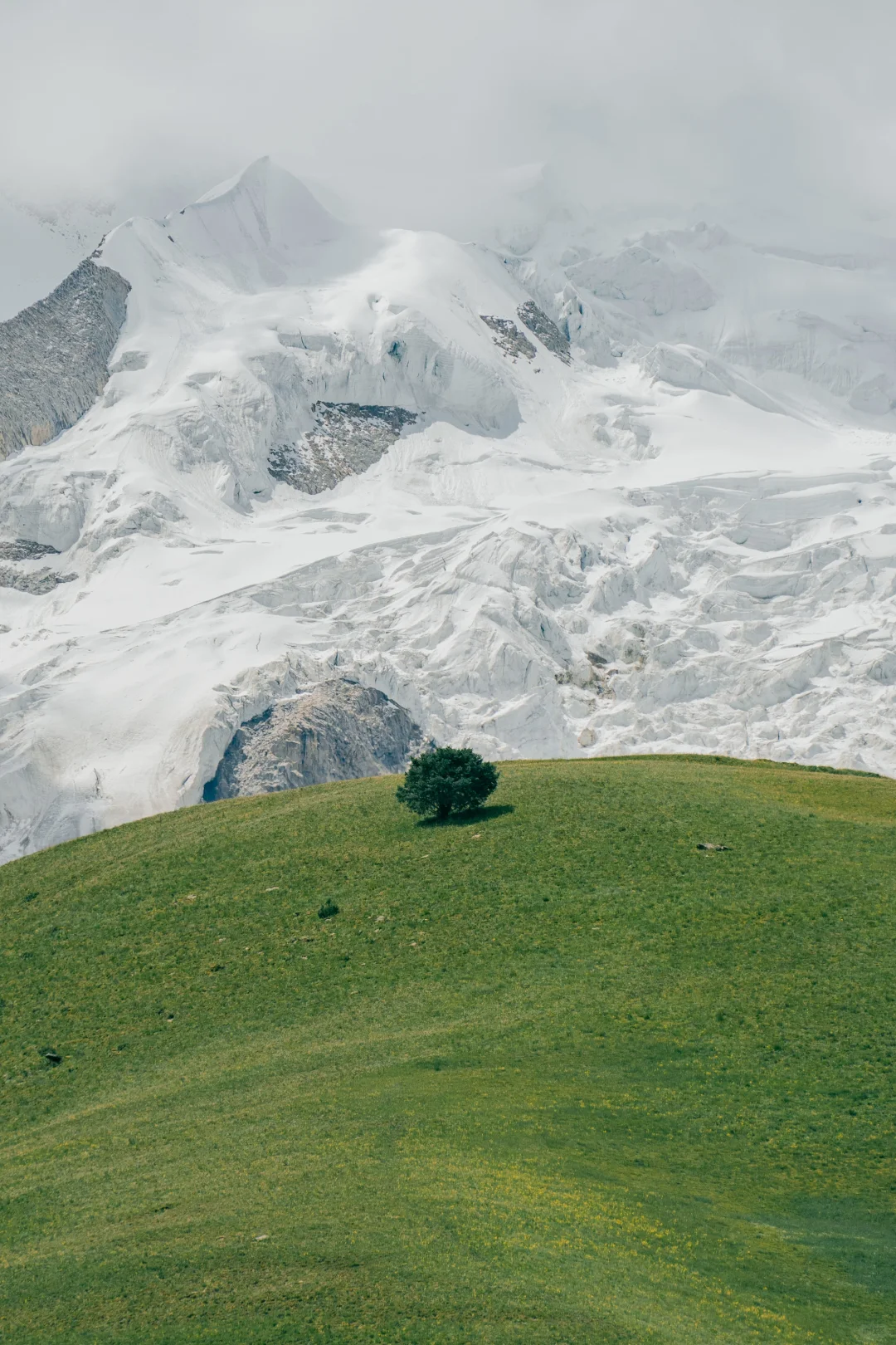 格聂 从来不是谁的平替