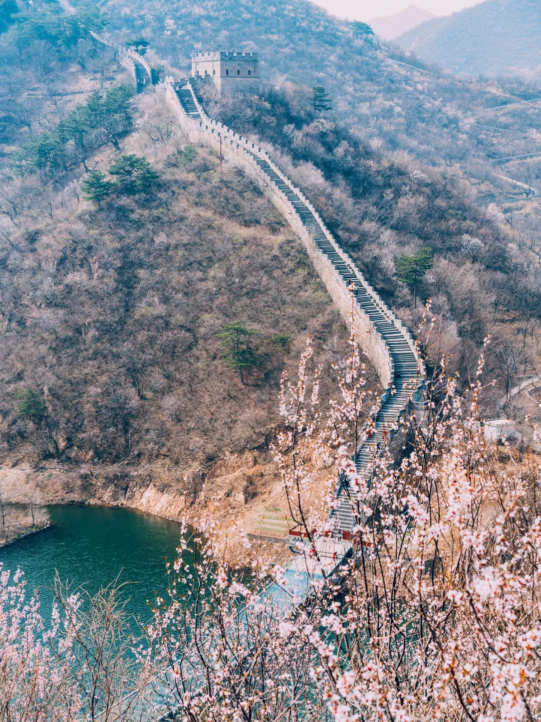 清明去京郊❗️山桃花➕长城➕湖泊，附线路攻略