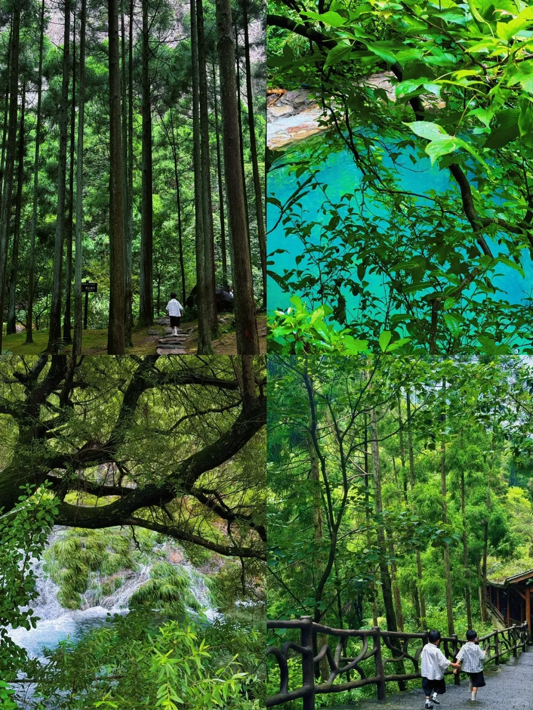 整理好了❗️温州清明宝藏户外遛娃地合集推荐