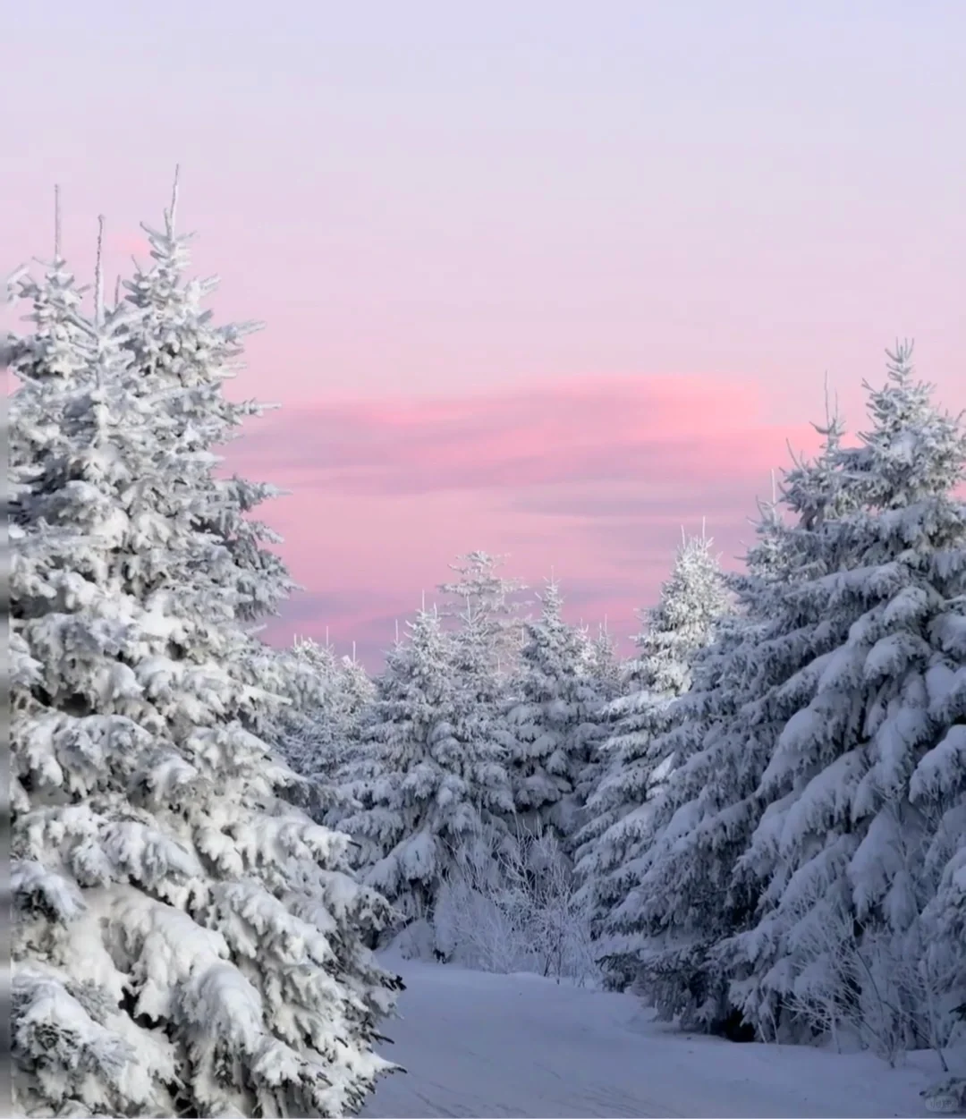 哇～长白山🏔️