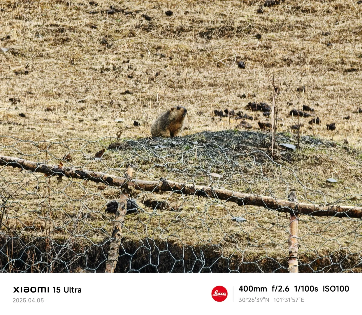 4.5墨石公园实况 |太阳+下雪的神奇天气
