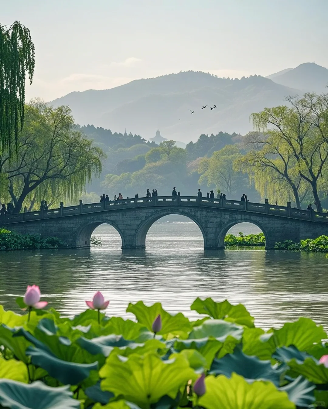 标题：🌸邂逅！西湖边的诗意浪漫