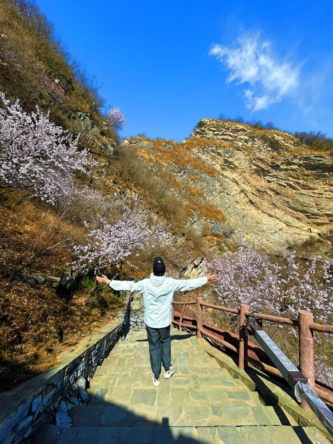 北京清明节春游好去处，绝美踏青徒步路线🌿