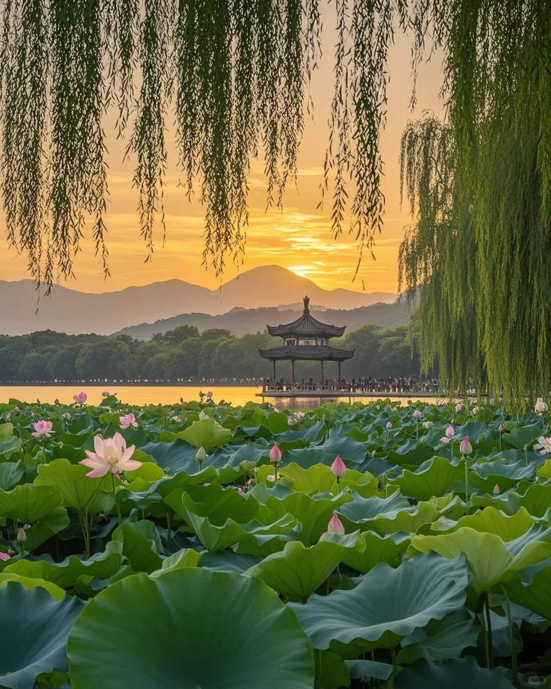 标题：🌸邂逅！西湖边的诗意浪漫