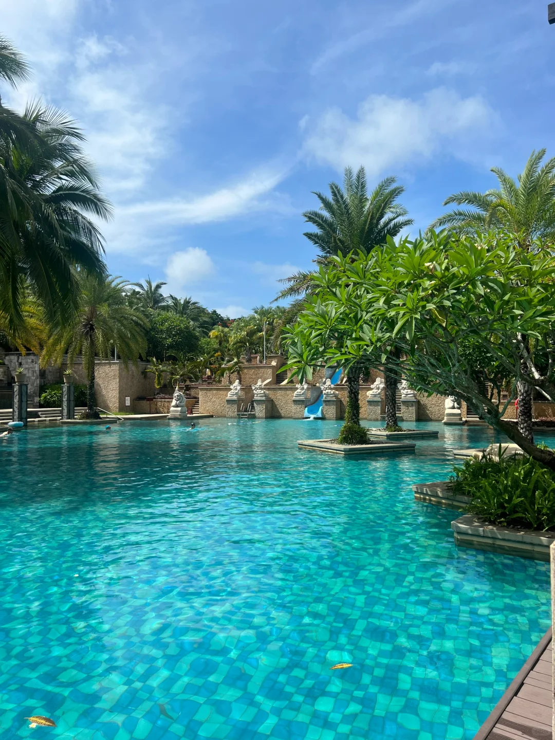 好想回三亚再躺个几天