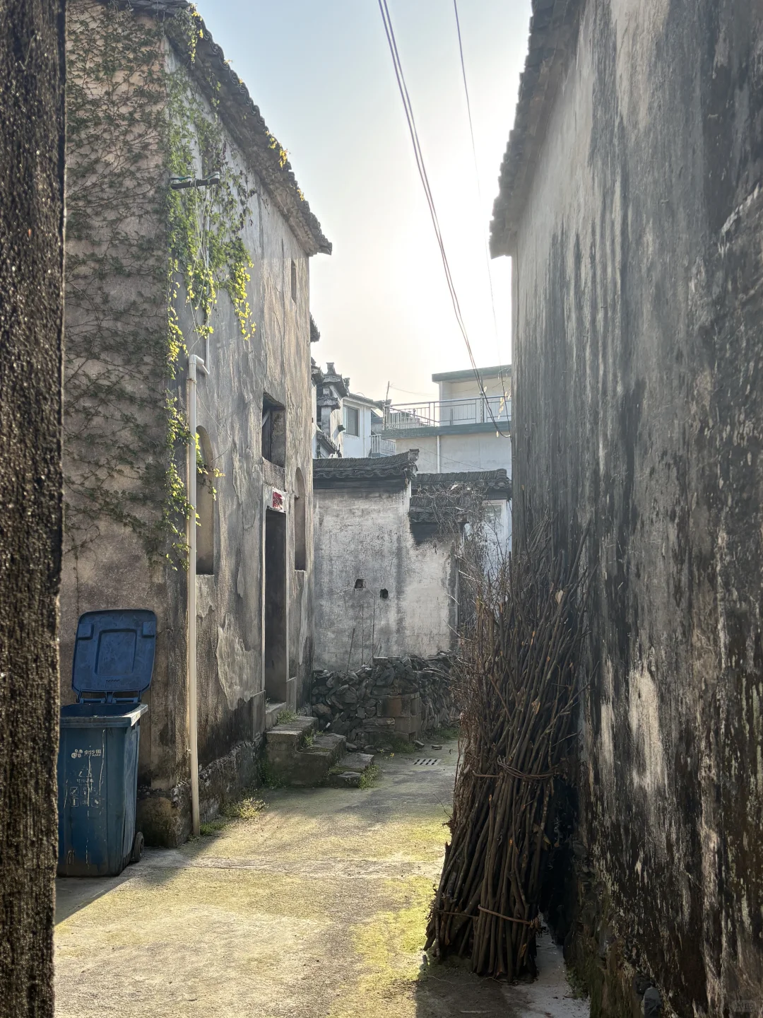 婺源宏村去腻了❗️绝美油菜花梯田在这里