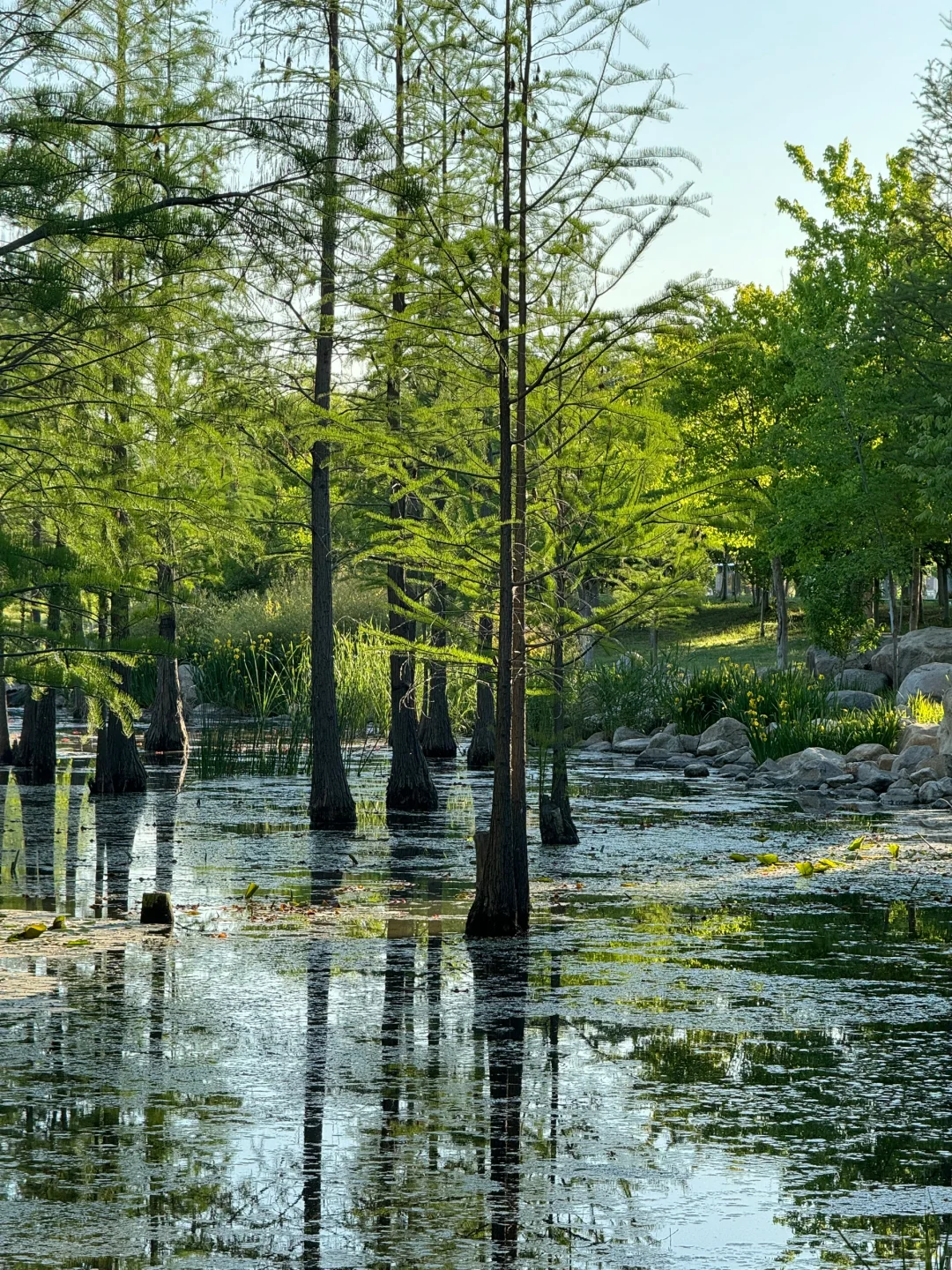 烟台！🌿超全春日🌸打卡神仙地景点合集！！