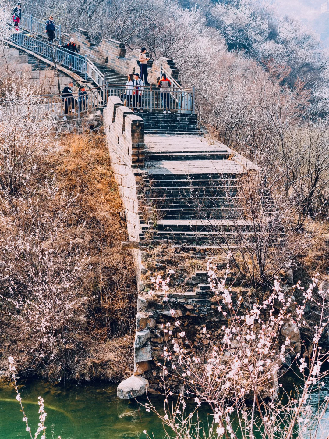 清明去京郊❗️山桃花➕长城➕湖泊，附线路攻略
