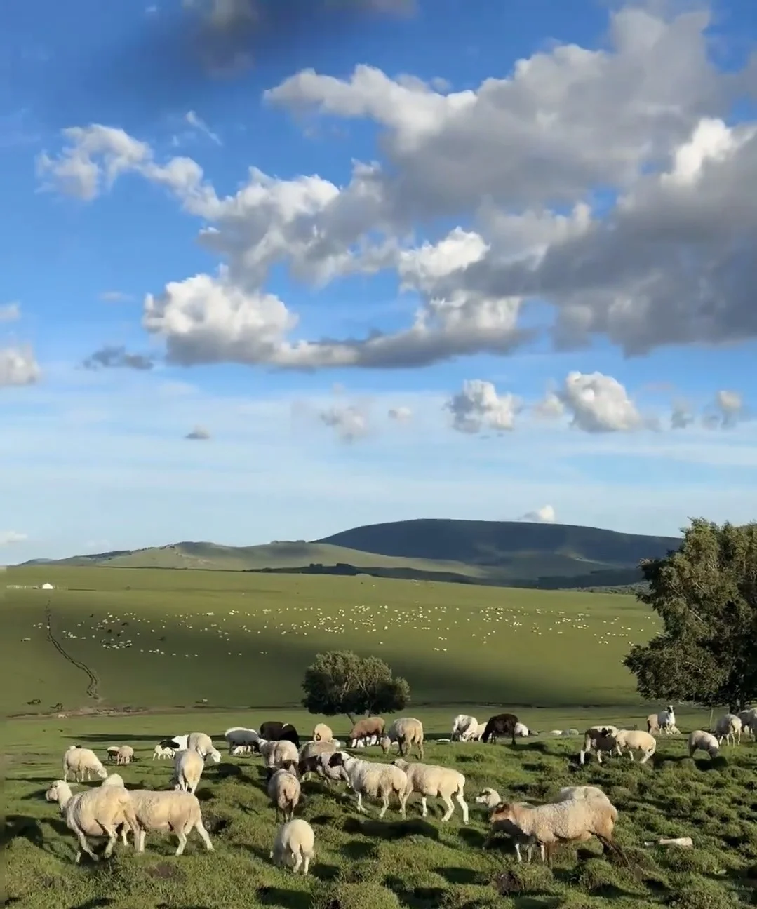 第一次来乌兰布统不要慌❗️❗️来看旅游攻略