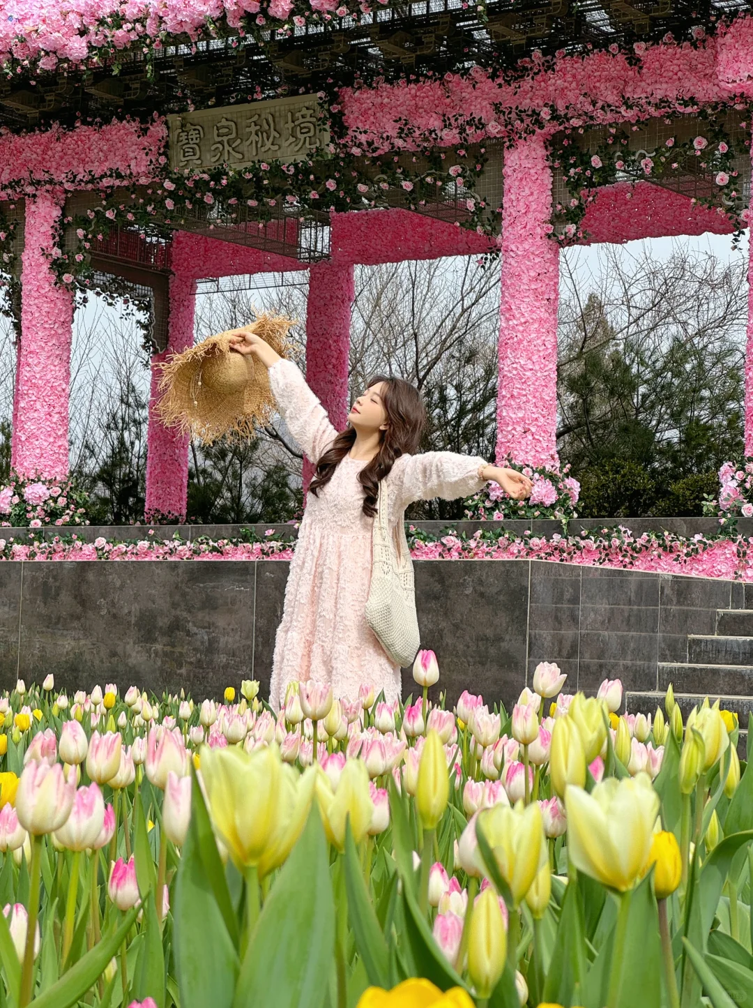 真不是荷兰！是河南！💐郁金香花海美到窒息🥹