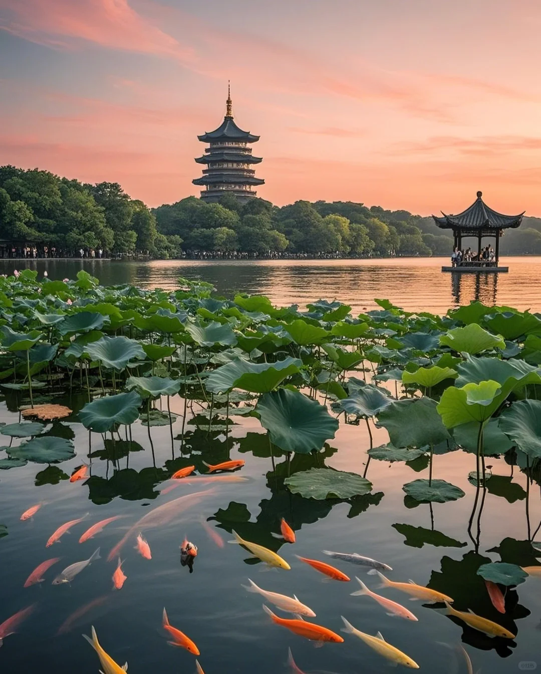 标题：🌸邂逅！西湖边的诗意浪漫