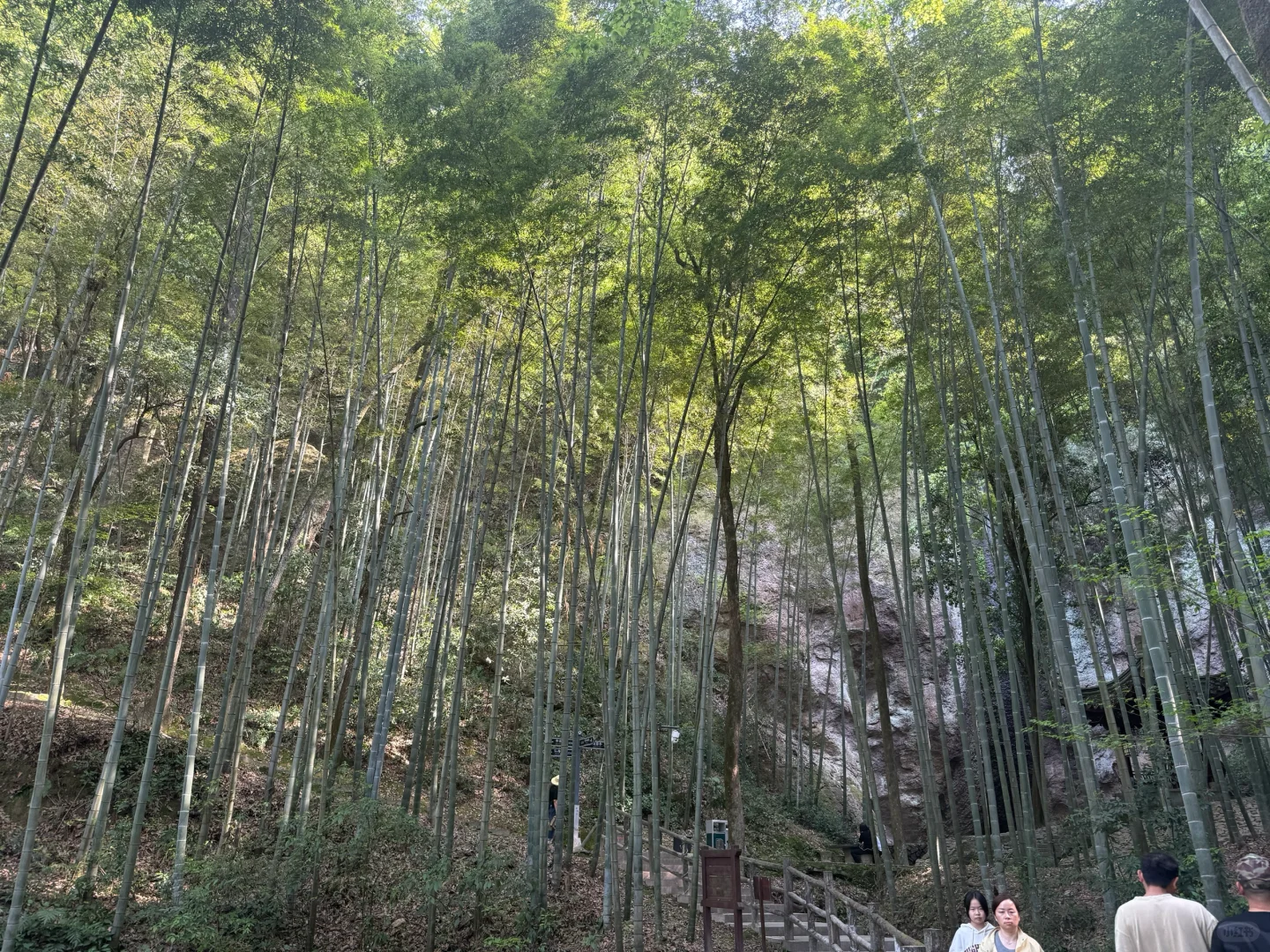 一步一景，人在画中游～