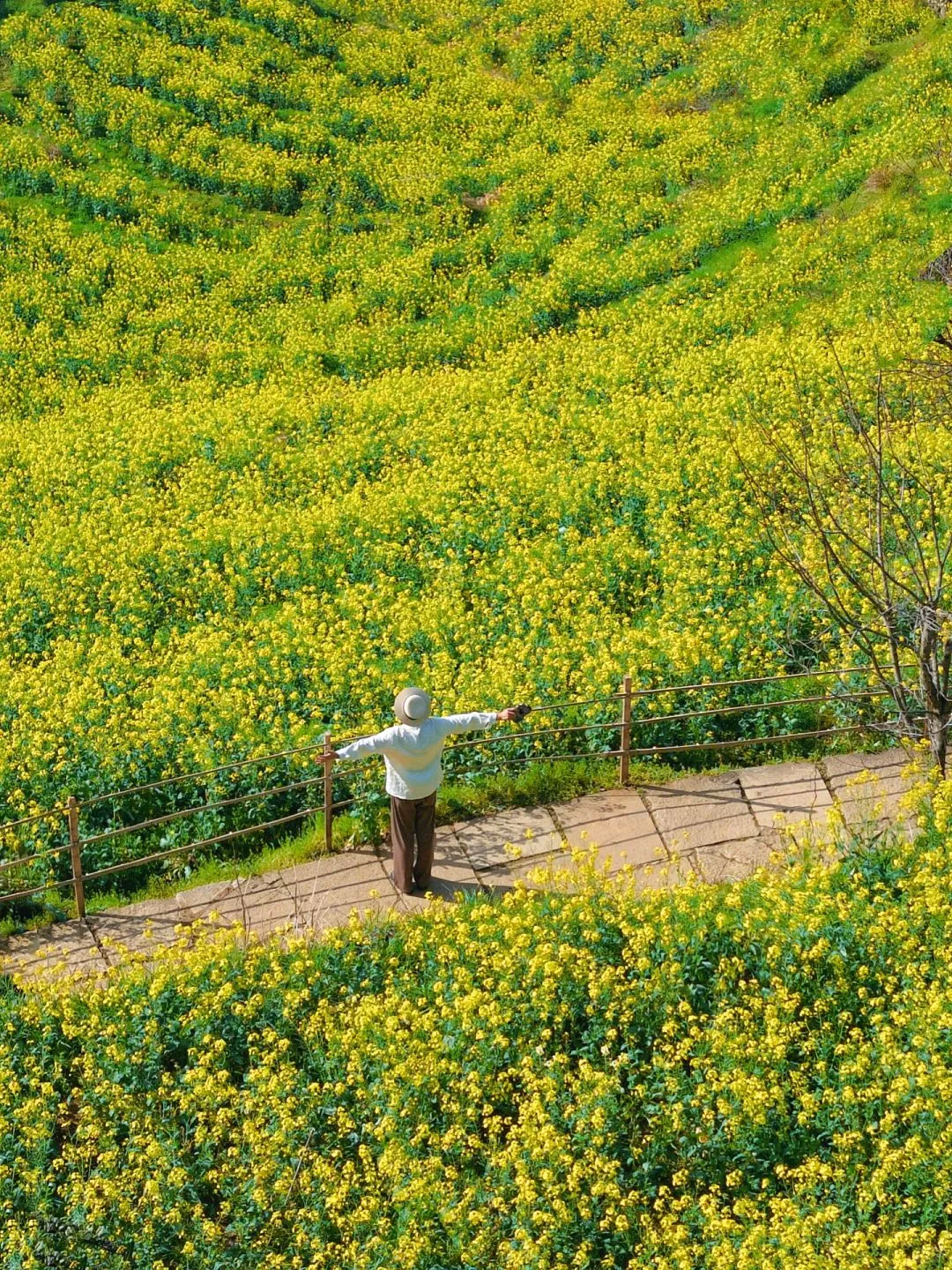 后悔没早点来黄山，小红书跟风最成功的一次