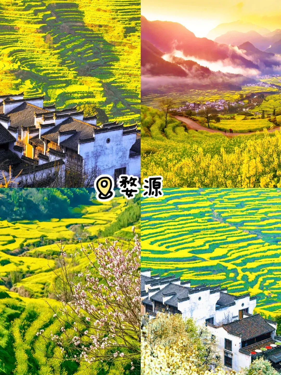 国内3月-4月去哪儿玩？