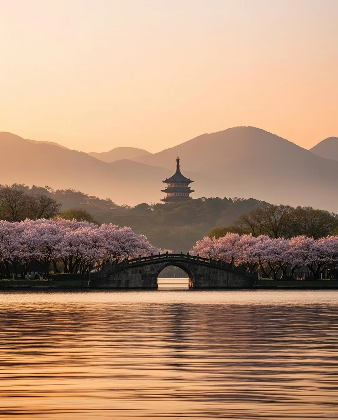 标题：🌸邂逅！西湖边的诗意浪漫