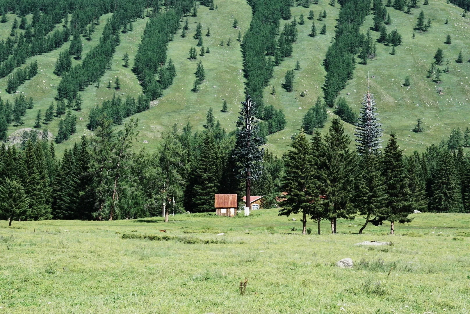 奔向人生的旷野｜毕业旅行去哪玩（🌟附攻略）