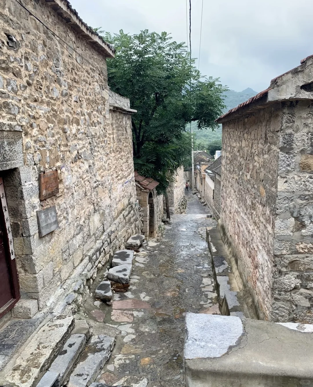 清明拒绝人挤人【河南小众】春日秘境🌸