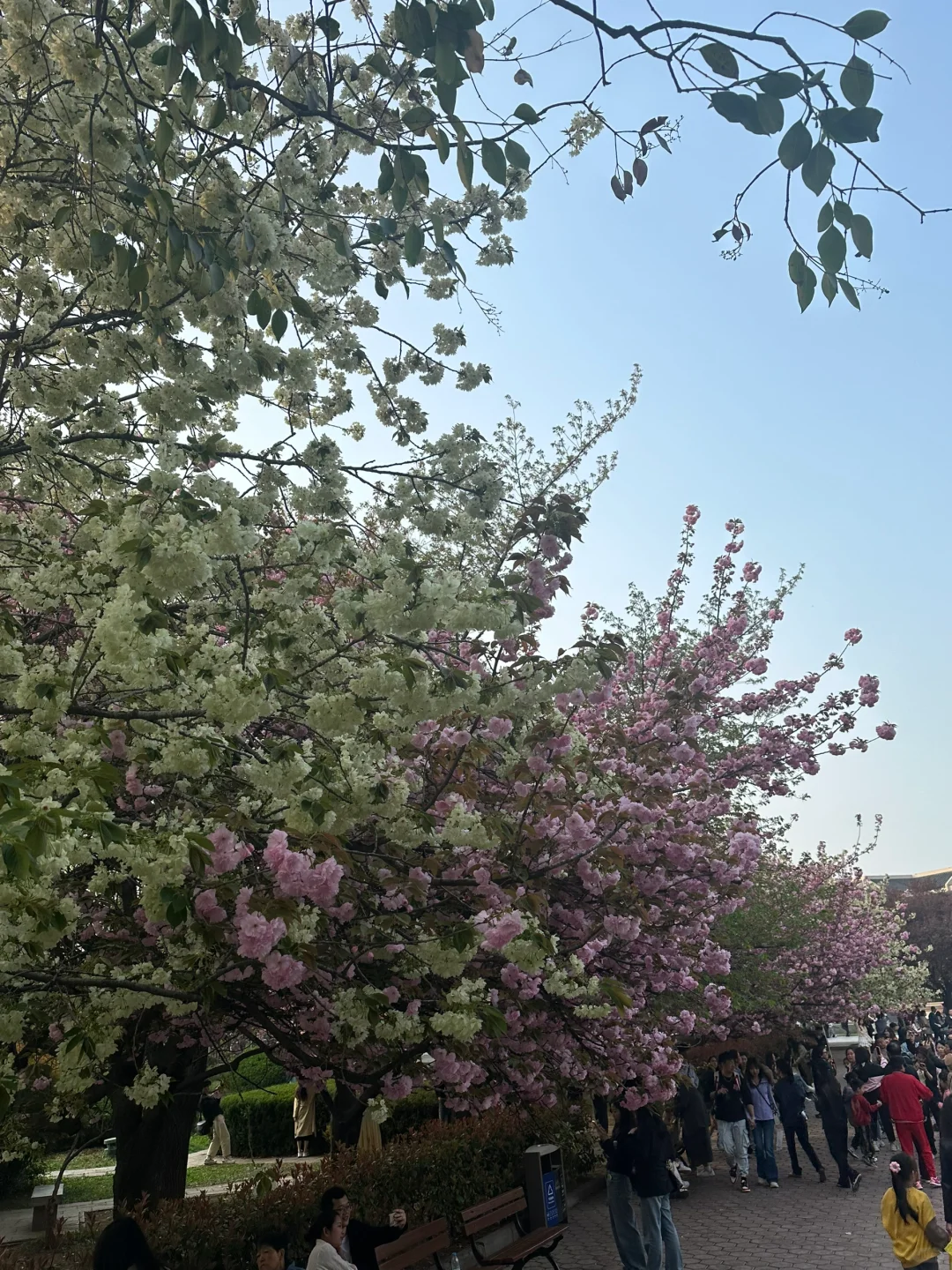 第一次来西安的十八张图