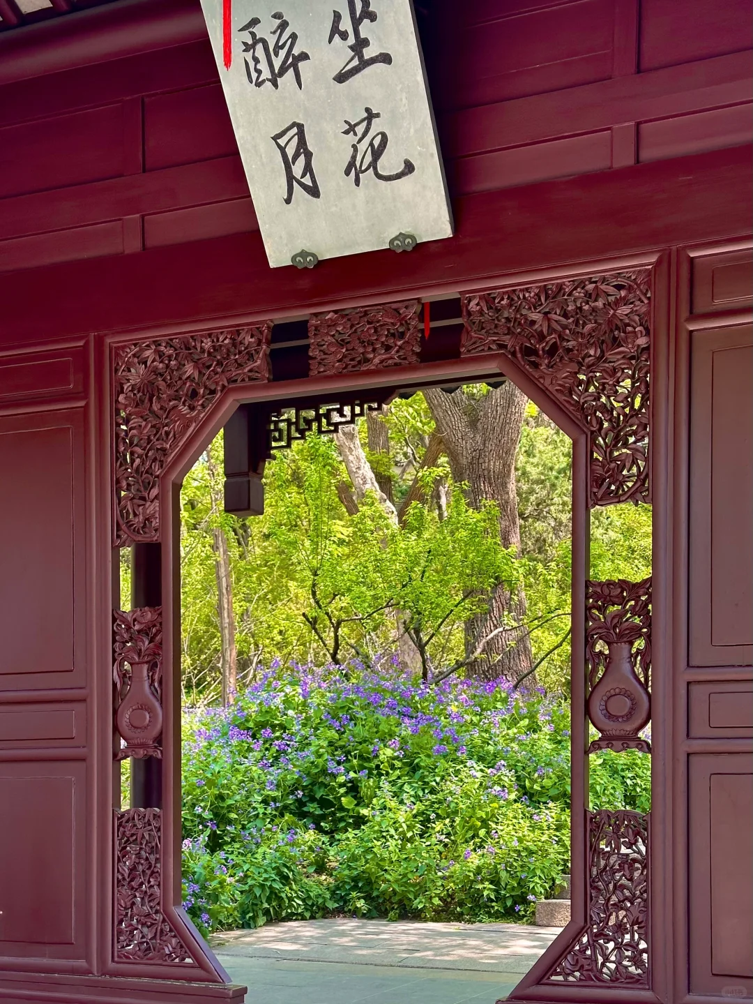 到虎丘才知道苏州的春天多治愈！