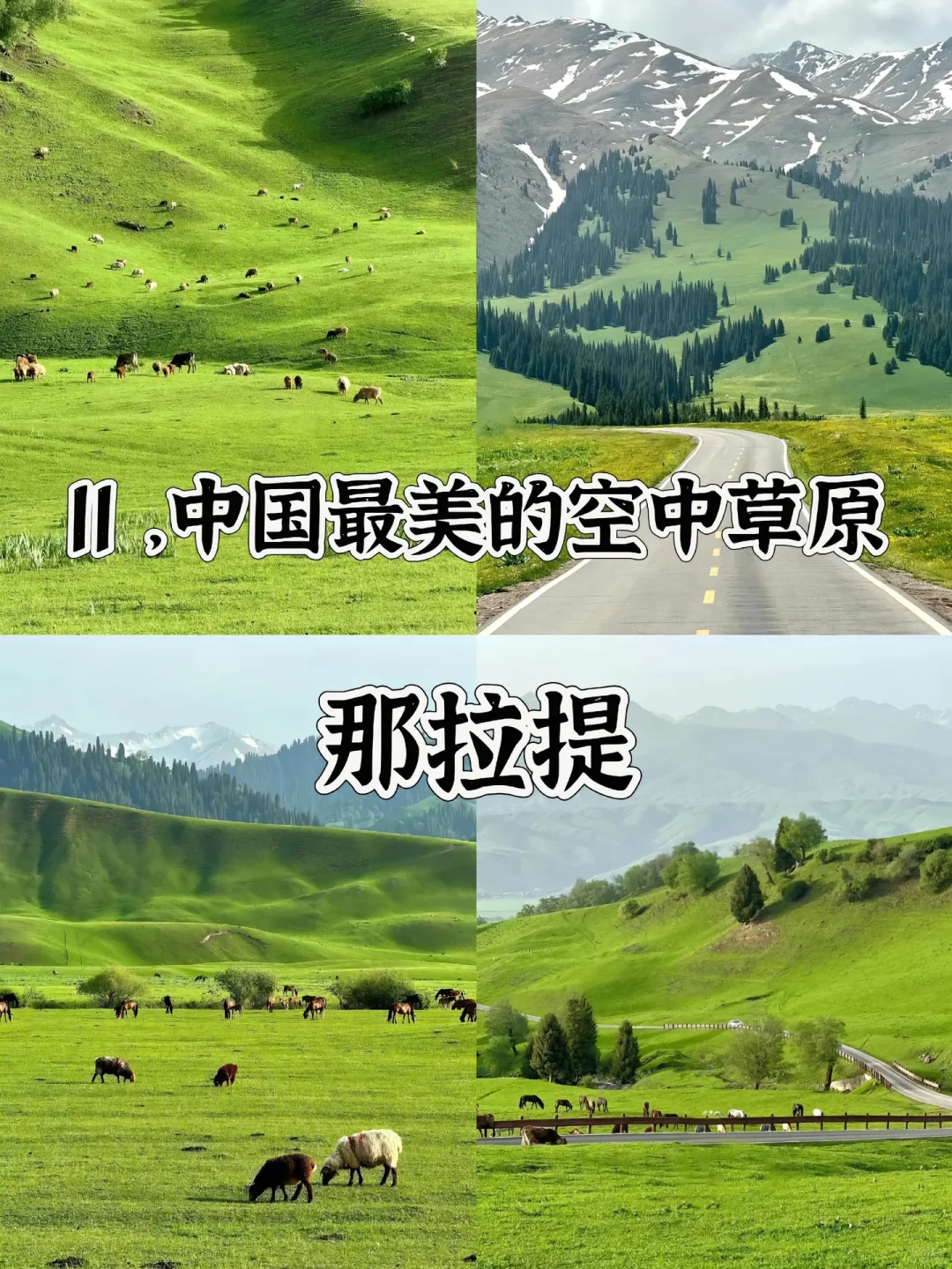 中国最美的20个地方 去过一半 此生无憾