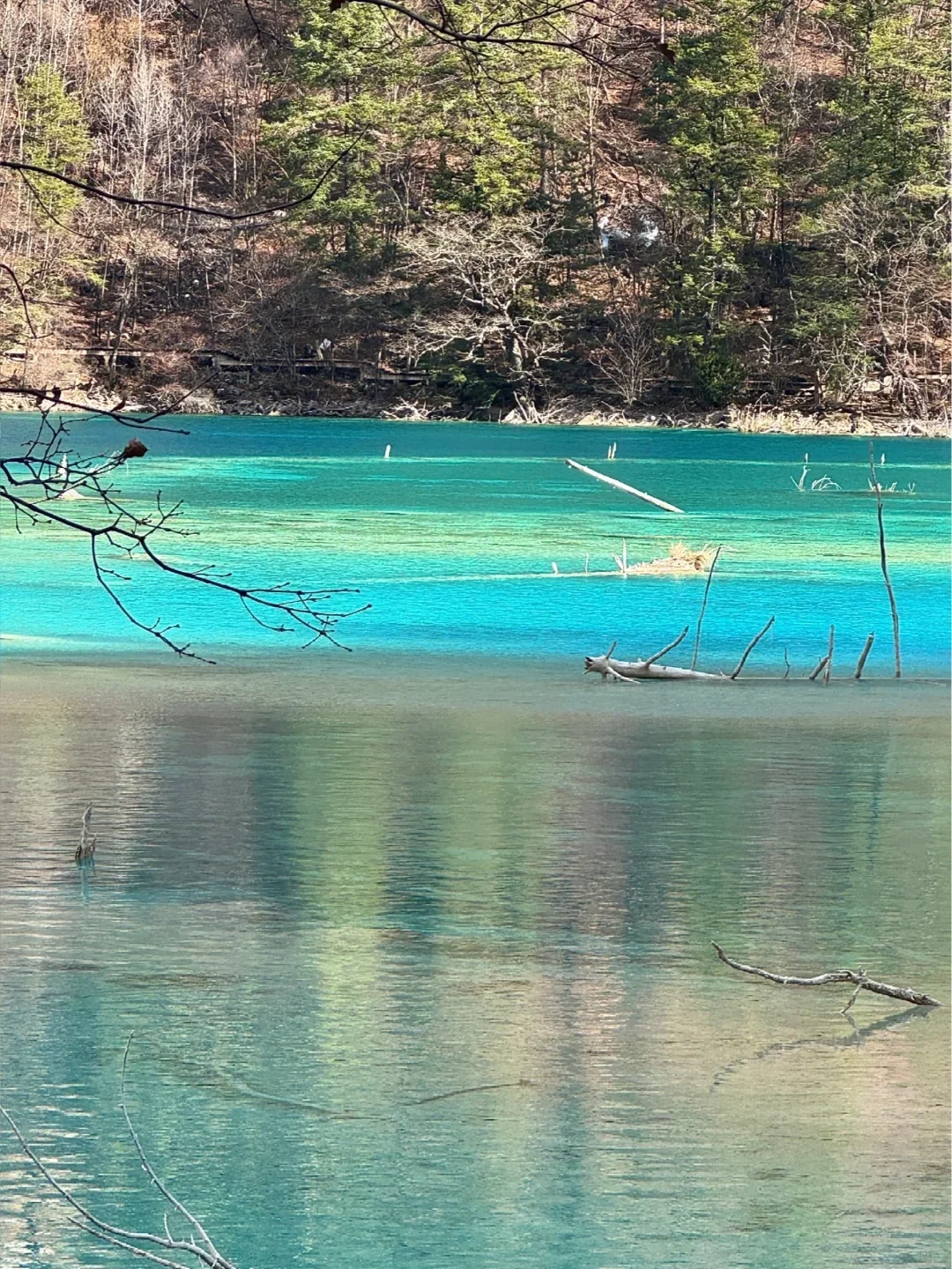 九寨沟高铁已回，真心建议要去的慎重考虑！