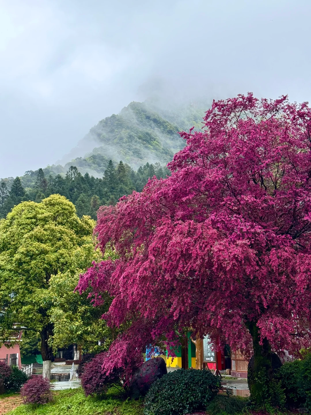 我宣布！！这是我在江西花的最值的一笔…