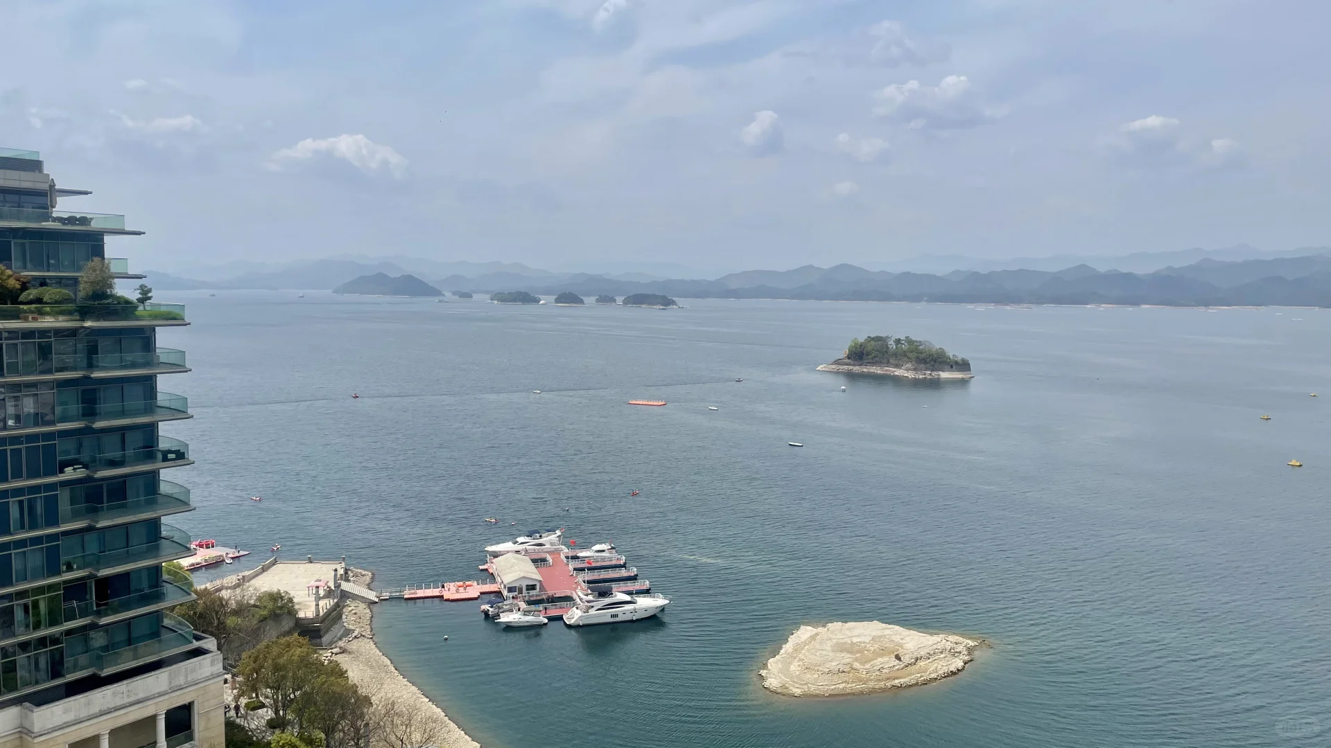 精神状态be like：快乐小狗